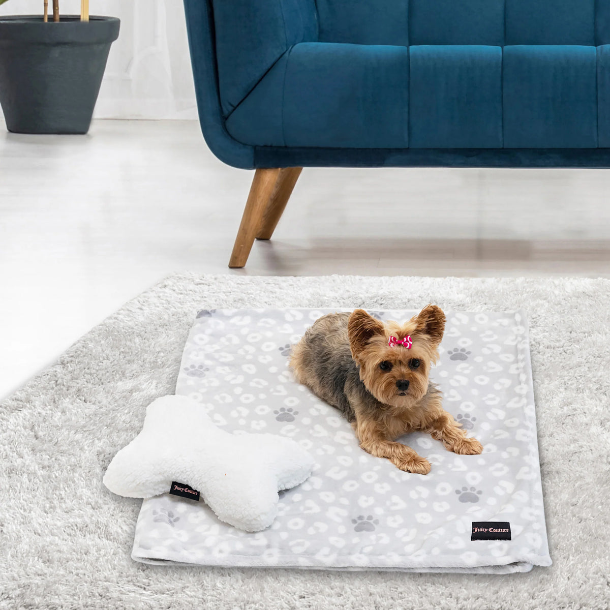 Pet Throw Blanket & Bone Pillow 2-Piece Set