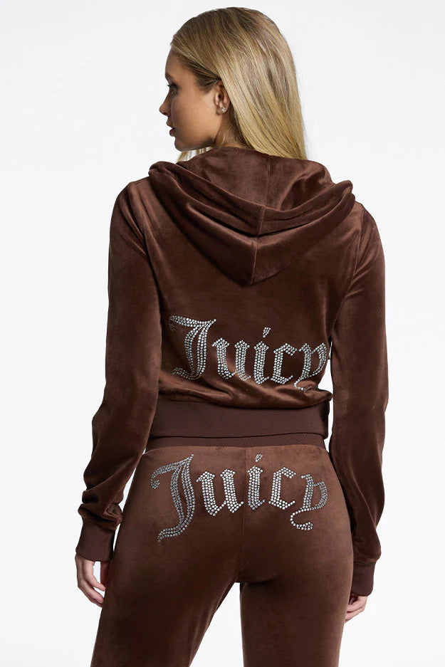 OG Big Bling Velour Hoodie—REJUICED