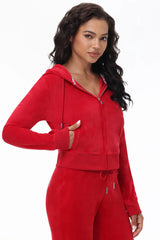 OG Big Bling Velour Hoodie—REJUICED