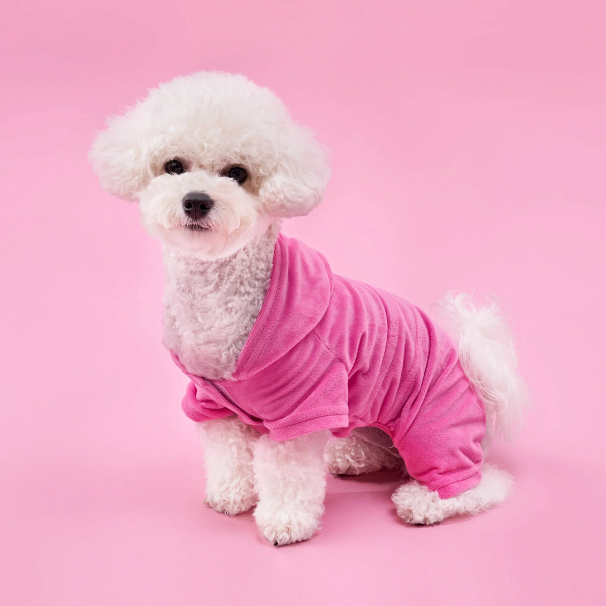 Bling Velour Pet Tracksuit